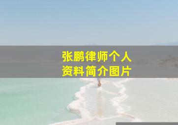 张鹏律师个人资料简介图片