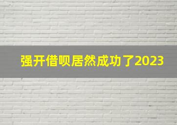 强开借呗居然成功了2023