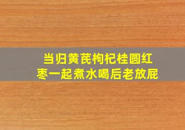 当归黄芪枸杞桂圆红枣一起煮水喝后老放屁