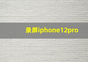 录屏iphone12pro