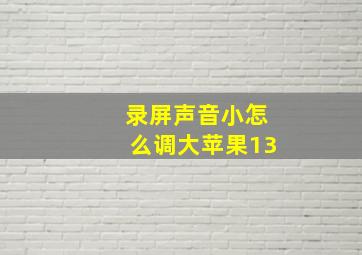 录屏声音小怎么调大苹果13