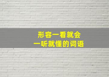 形容一看就会一听就懂的词语