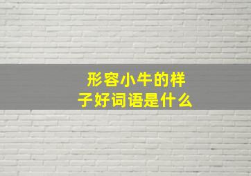 形容小牛的样子好词语是什么