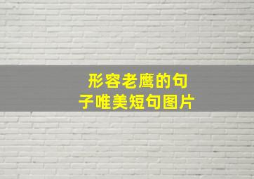 形容老鹰的句子唯美短句图片