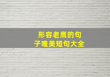 形容老鹰的句子唯美短句大全