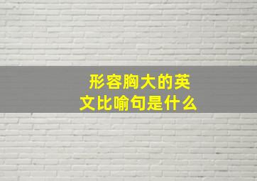 形容胸大的英文比喻句是什么