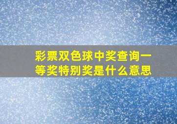 彩票双色球中奖查询一等奖特别奖是什么意思