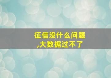 征信没什么问题,大数据过不了