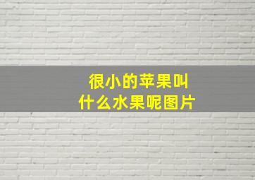 很小的苹果叫什么水果呢图片