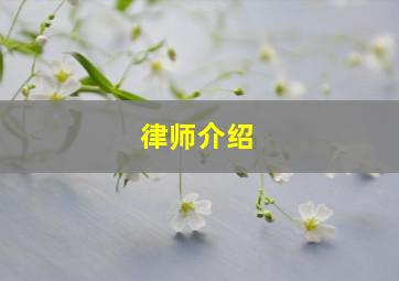 律师介绍