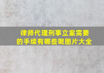 律师代理刑事立案需要的手续有哪些呢图片大全