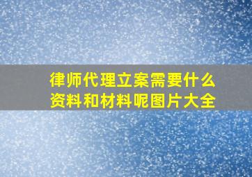 律师代理立案需要什么资料和材料呢图片大全