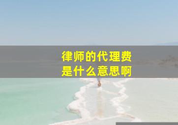 律师的代理费是什么意思啊