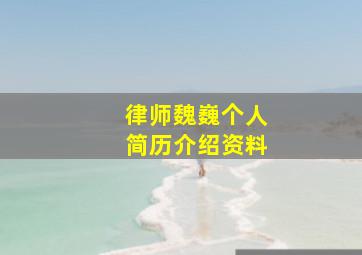 律师魏巍个人简历介绍资料