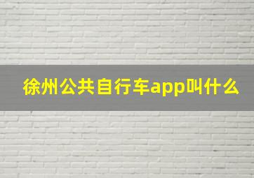 徐州公共自行车app叫什么