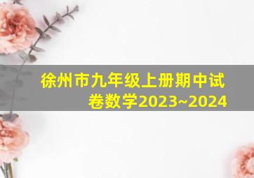 徐州市九年级上册期中试卷数学2023~2024