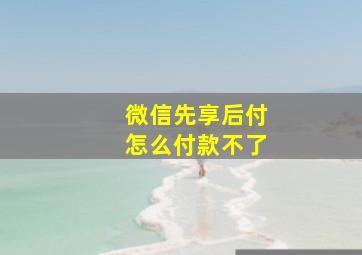 微信先享后付怎么付款不了