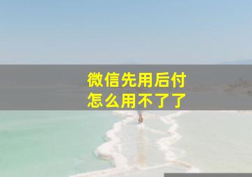 微信先用后付怎么用不了了