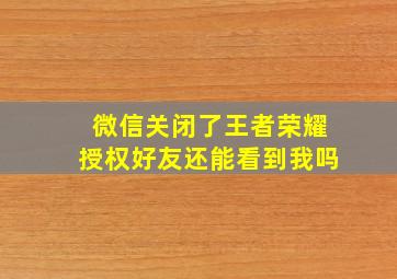 微信关闭了王者荣耀授权好友还能看到我吗