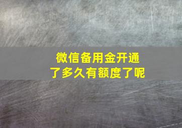 微信备用金开通了多久有额度了呢