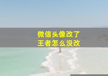 微信头像改了王者怎么没改