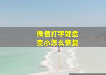 微信打字键盘变小怎么恢复