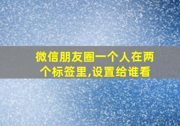 微信朋友圈一个人在两个标签里,设置给谁看