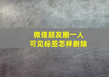 微信朋友圈一人可见标签怎样删除