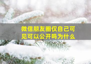 微信朋友圈仅自己可见可以公开吗为什么