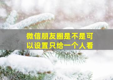 微信朋友圈是不是可以设置只给一个人看