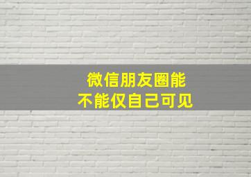 微信朋友圈能不能仅自己可见