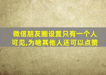 微信朋友圈设置只有一个人可见,为啥其他人还可以点赞