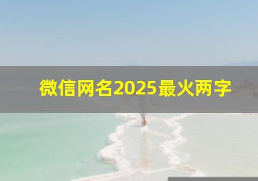 微信网名2025最火两字