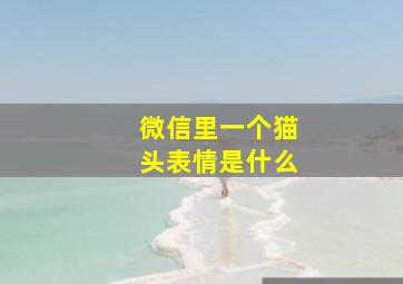 微信里一个猫头表情是什么