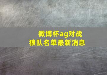 微博杯ag对战狼队名单最新消息