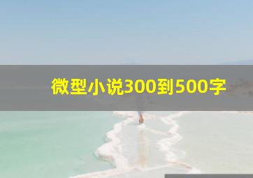 微型小说300到500字