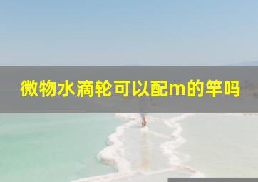 微物水滴轮可以配m的竿吗