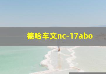 德哈车文nc-17abo