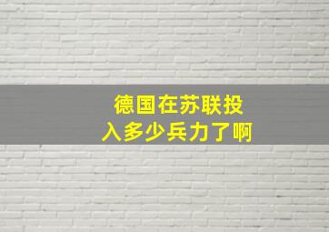 德国在苏联投入多少兵力了啊