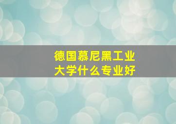 德国慕尼黑工业大学什么专业好