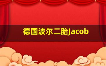 德国波尔二胎Jacob