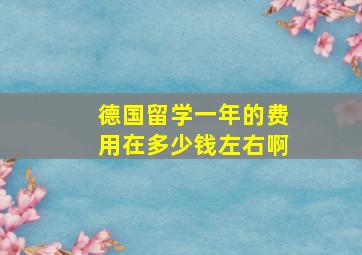 德国留学一年的费用在多少钱左右啊