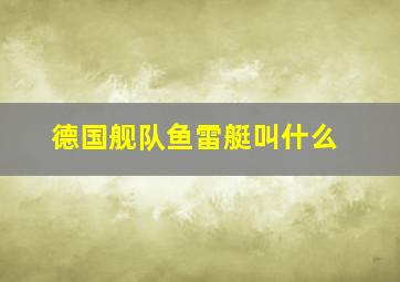 德国舰队鱼雷艇叫什么