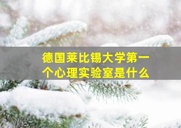 德国莱比锡大学第一个心理实验室是什么