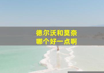 德尔沃和莫奈哪个好一点啊