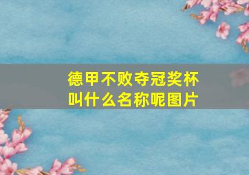 德甲不败夺冠奖杯叫什么名称呢图片