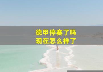 德甲停赛了吗现在怎么样了