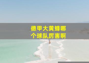 德甲大黄蜂哪个球队厉害啊