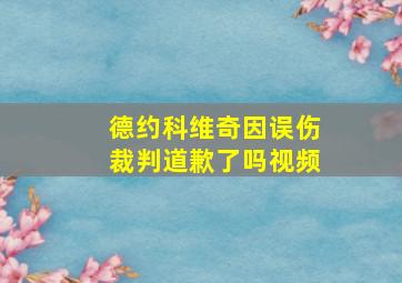 德约科维奇因误伤裁判道歉了吗视频