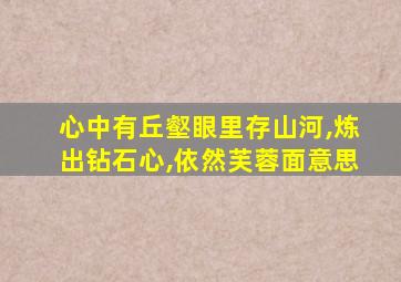 心中有丘壑眼里存山河,炼出钻石心,依然芙蓉面意思